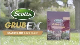 How to Kill and Prevent Grubs Using Scotts&reg; GrubEx&reg;