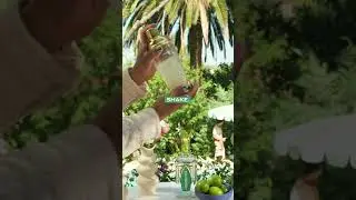 Hornitos Tequila: The Margarita
