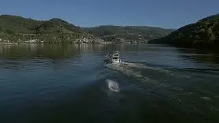 Douro Valley Tour by Boat | Sailing 360