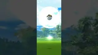 Shiny Mudkip! 🤩 Pok&eacute;mon GO!
