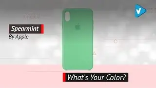 Original Apple Silicone Case (For IPhone Xs Max) - Great Color Collection By Apple