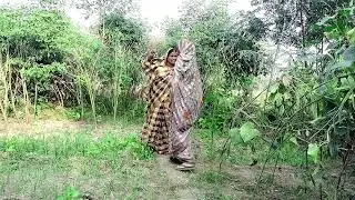 की धनिया की पट्टी की चोरी 