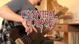 Cannibal Corpse - The Time to Kill Is Now (Bass cover)