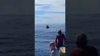 Nelayan Kotabaru 5 hari terombang-ambing di laut?