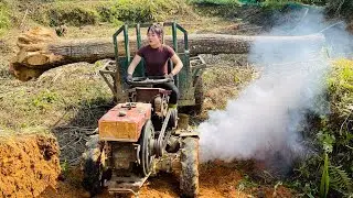 Agricultural vehicle transporting wood, country girl, story of giant logs