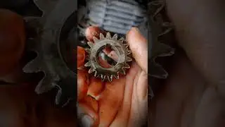 Bajaj Pulsar bike timing chain change #bajaj #pulsar 