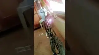 brand:viking bike: mini mtb