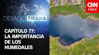 Desafío Tierra | Capítulo 77: La importancia de los humedales y las turberas