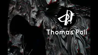 Thomas Poli - Live &agrave; l'Institut Franco-Am&eacute;ricain Rennes // Des Pies Chicaillent