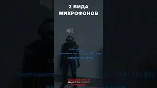 2 ВИДА МИКРОФОНА В SCP SL