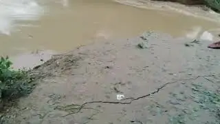 CHAMPARAN FLOOD HEAVY. Aug 2017