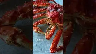3 Interesting Facts About King Crabs Part 2! #shorts #facts  #animal #kingcrab #crab