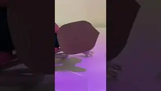 Plancha Vapor De Ropa Vertical Port&aacute;til