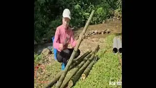 Traditional Fish Trap Made with Bamboo and Plastic Pipes