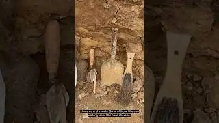 Introduction to an Excavation Area at a Palaeolithic Archaeological Site - Barnham 2022 #shorts