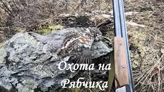 Охота на рябчика,