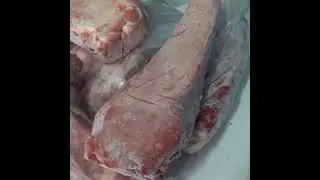 TENDERLOIN STEAK ,PUTRAGUNOBUTCHERY