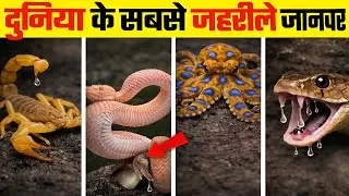 😨 दुनिया के 5 सबसे ज़हरीले जानवर | जिनसे मौत तय है! | Hindi