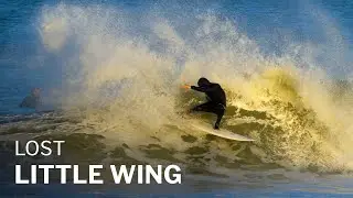 ...Lost Little Wing review with Jason Forrest