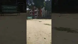 govt society , pushp vihar, new delhi