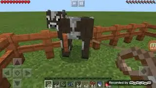 Как я живу в Майнкрафте/ Play dog TV