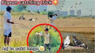 Khet se pakdne lge 5 kabutar 🤑 || Try to catch five white pigeon from field 🌾