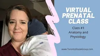 Class #1 Anatomy and Physiology Of Pregnancy and Birth