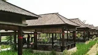 Menikmati indahnya makan siang di Restoran Alam Sari Cikarang