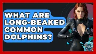 What Are Long-beaked Common Dolphins? - The Marine Life Explorer