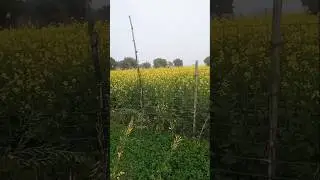 shashank tanda# masti#video