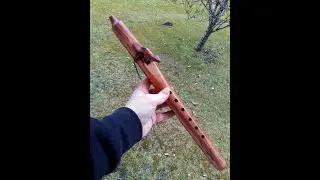 Ableton Live 11 rack Native American Flute