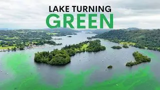 England's Largest Lake is Dying - here's how we save it