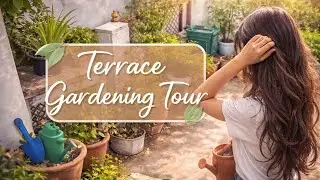 Terrace gardening series part 2 2026 💗 ll terrace gardening tour 😁 #youtube #gardentour 