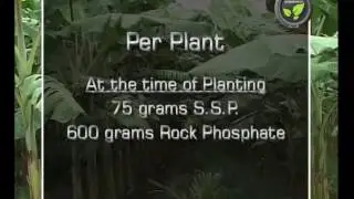 Fertilizer Recommendation for Banana in Acidic Soil