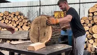 High-Risk Forest Job | Real Work, Real Danger