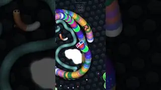 #longsnake #viral #viralvideo #viralshort #shortvideo #shorts #funny #motivation please subscribe