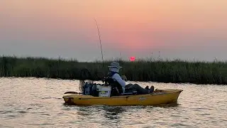 Rigolets Black Drum and Speckled trout