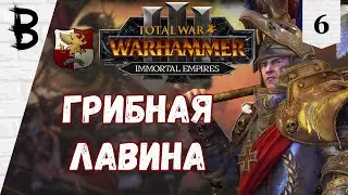 Total War Warhammer 3 Империя, Карл Франц, Рейкланд #6 
