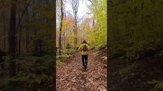 From Fall to Frozen Summit | New York's Highest Peak in 60 seconds #hiking #virtualrun #fall #winter