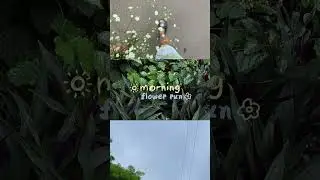 Flower girl 🌸 #slowlife #slowliving #flowers #aestheticedits #morningflowers #slowlivingvlog