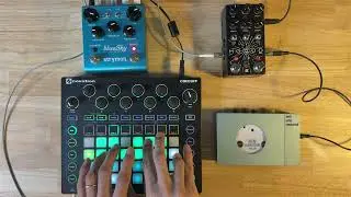 Minimal Dub with Lo-fi Piano and Synth Loops | Cirrhosa 2025-12-26 by atnr