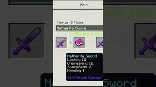 Best enchantments for our💪 neather sword 😎👍/in two hit kill the zombie❤️ #minecraft pocket edition 🥰