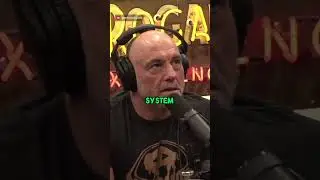 Bill Gates on His Affair With Epstein #podcast #joerogan #jre #joeroganexperience#peterthiel
