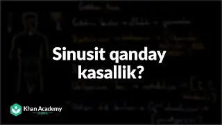 Sinusit qanday kasallik? | Burun, sinusit va yuqori nafas yo'llarining kasalliklari | Tibbiyot
