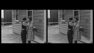 Buster Keaton & Edward F. Cline: One Week (1920)