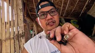 Suzuki Ertiga HeadLight Upgrade | Orion Alpha