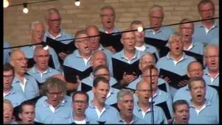 Samenvatting Rijssens Mannekoor & Marinierskapel  Volkspark Rijssen 7 Juli 2017