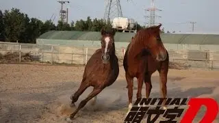 Witcher 3: Horse Racing Finals - Initial D: Witcher Stage Street Racing