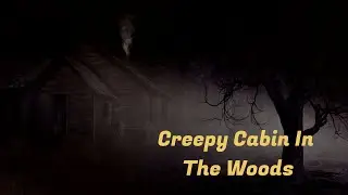 Creepy Cabin In The Woods / Soundscape And Ambience
