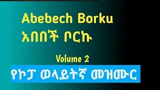 23 Gospel Singer Abebech Borku አበበች ቦርኩ ቁ 2 Vool 2 wolita mezmur